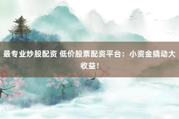 最专业炒股配资 低价股票配资平台：小资金撬动大收益！