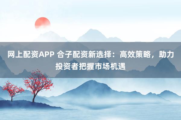 网上配资APP 合子配资新选择：高效策略，助力投资者把握市场机遇