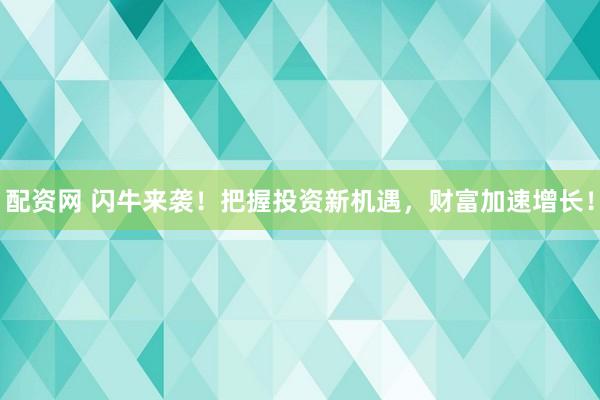 配资网 闪牛来袭！把握投资新机遇，财富加速增长！