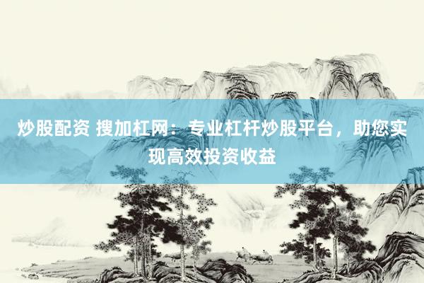 炒股配资 搜加杠网:专业杠杆炒股平台,助您实现高效投资收益