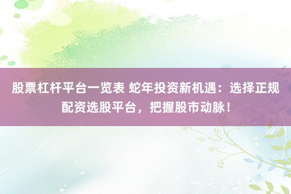 股票杠杆平台一览表 蛇年投资新机遇：选择正规配资选股平台，把握股市动脉！