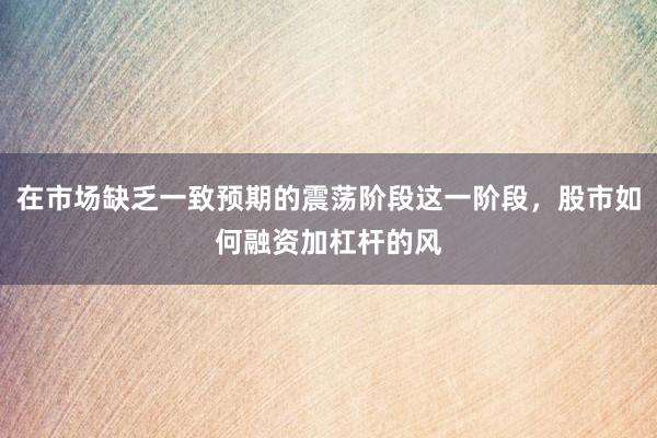 在市场缺乏一致预期的震荡阶段这一阶段，股市如何融资加杠杆的风