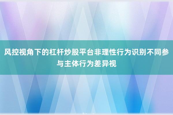 风控视角下的杠杆炒股平台非理性行为识别不同参与主体行为差异视