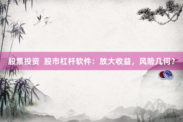 股票投资  股市杠杆软件：放大收益，风险几何？