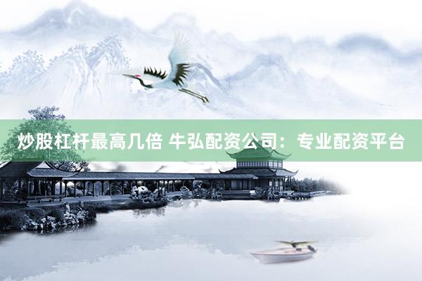 炒股杠杆最高几倍 牛弘配资公司：专业配资平台
